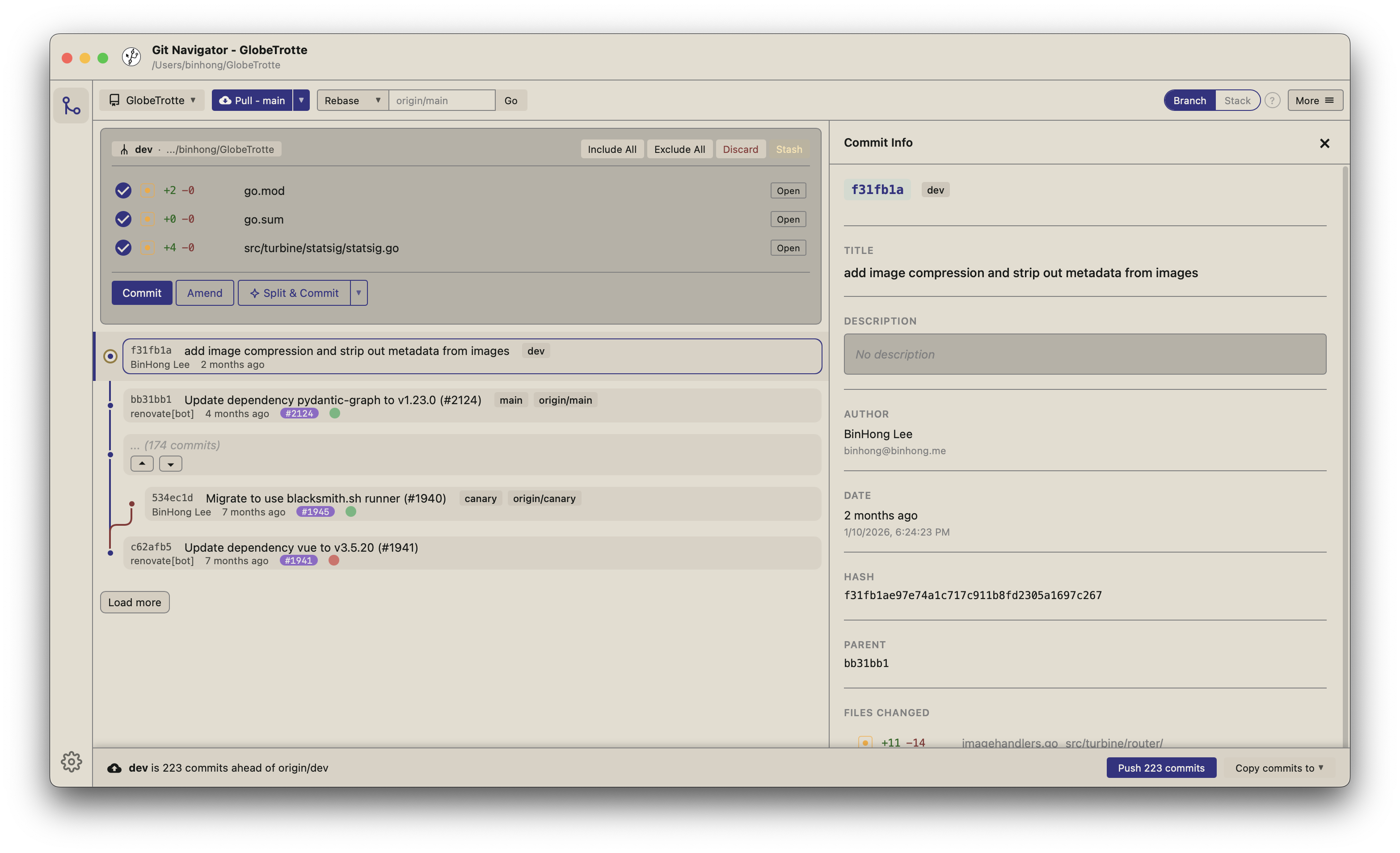 Git Navigator desktop application screenshot